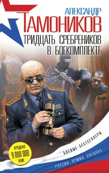 Александр Тамоников - Тридцать сребреников в боекомплекте