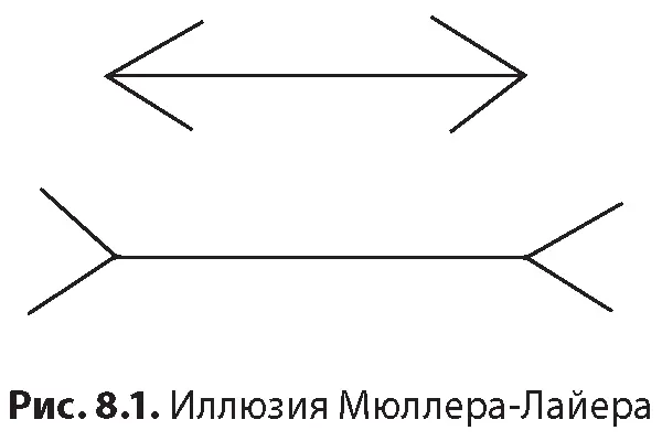 Верхняя линия кажется короче нижней однако на самом деле они одинаковы Мы - фото 10