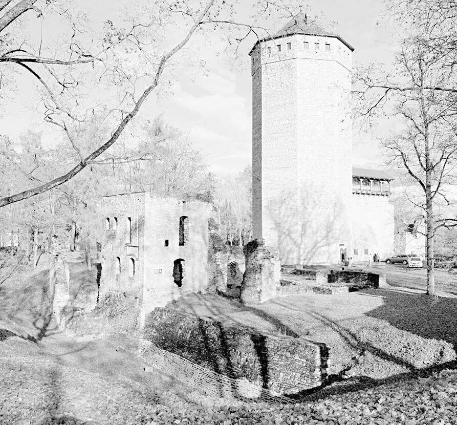 Замок Тевтонского ордена в Пайде Эстония Paide castle Ivo Kruusamägi - фото 24