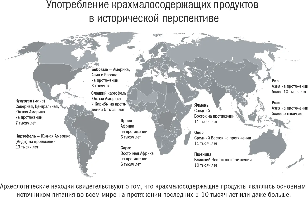 Рис 2 Вопреки широко распространенному мнению что рацион в период - фото 2