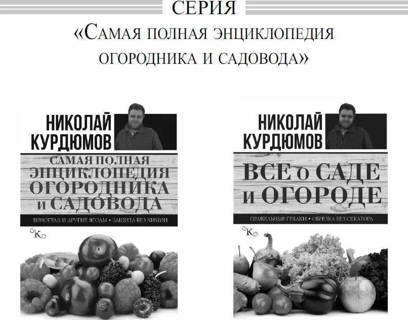 Примечания 1 ПЕРЛИТ минерал в размолотом виде белый упругий легк - фото 48