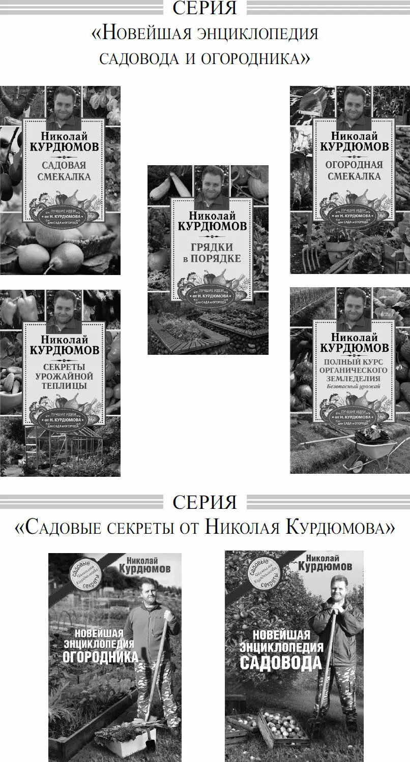 Примечания 1 ПЕРЛИТ минерал в размолотом виде белый упругий легкий - фото 49