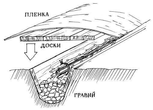 Рис 76 ВВ Корчагин пос Ильский Кубань поделился мечтой если бы ктото - фото 76