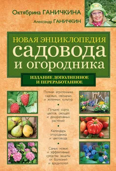 Октябрина Ганичкина - Новая энциклопедия садовода и огородника (издание дополненное и переработанное)