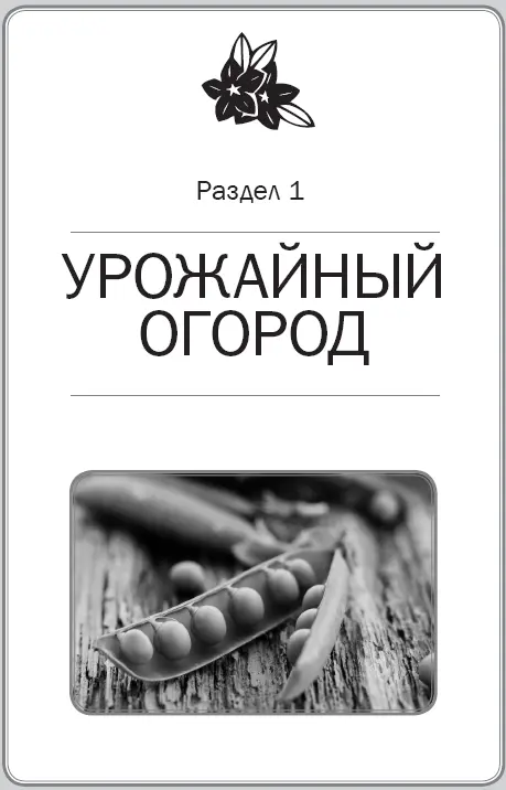 Пасленовые культуры Картофель Картофель многолетнее растение - фото 1