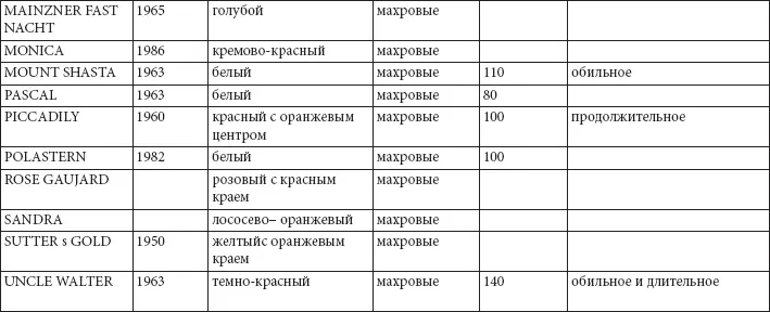 Характеристика розы флорибунда Характеристика плетистых роз Характеристика - фото 36