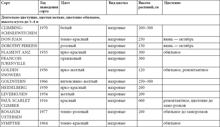 Характеристика парковых роз Флоксы многолетние Флоксы выращивают почти - фото 38