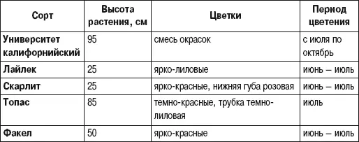 Настурция Настурция выращивается исключительно как однолетнее растение - фото 2