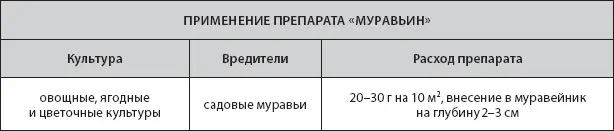 Приманка Медветокс Медведка относится к числу самых опасных вредителей - фото 26