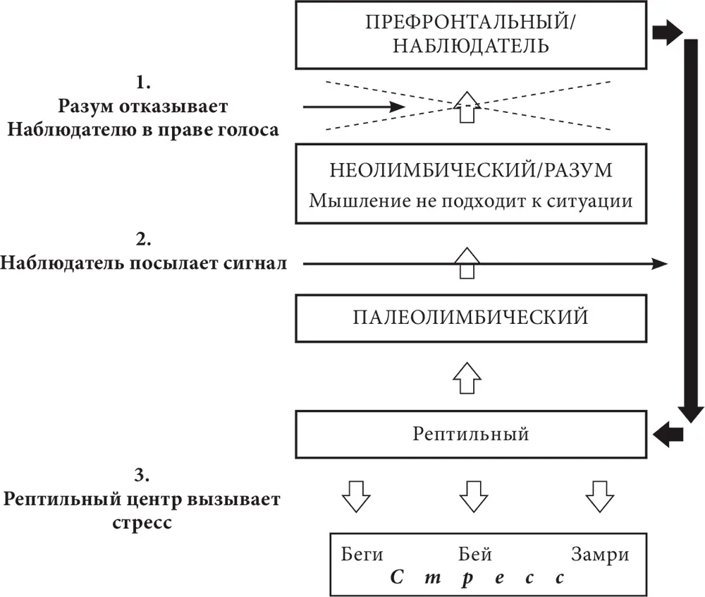 В этом случае префронтальному центру ничего не остается кроме как предупредить - фото 5