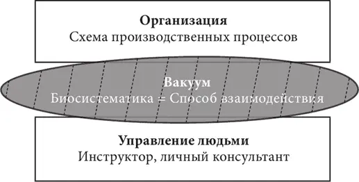 Биосистематика изучает неформальные процессы протекающие между структурой - фото 6