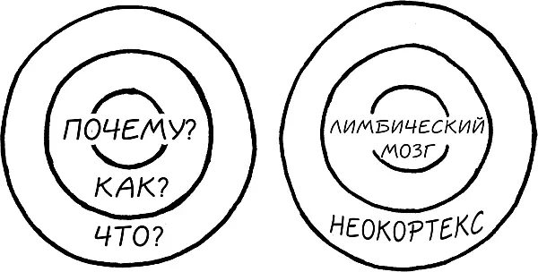 Неокортекс соответствует уровню ЧТО Он отвечает за рациональное и - фото 6