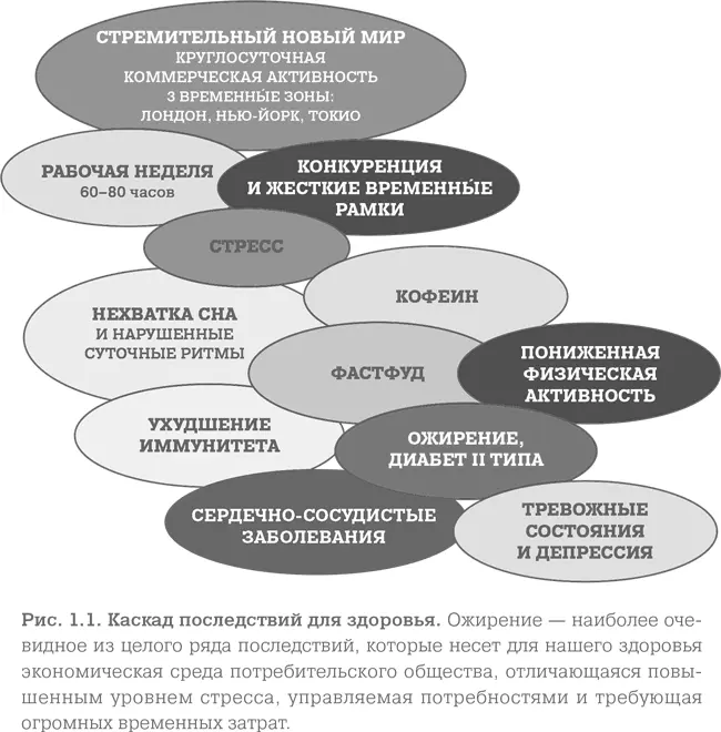 Результаты таких исследований позволяют нам выделить второй момент важный для - фото 2