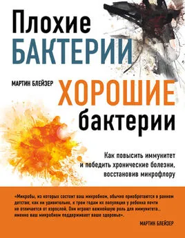 Мартин Блейзер - Плохие бактерии, хорошие бактерии. Как повысить иммунитет и победить хронические болезни, восстановив микрофлору