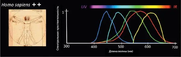Илл AAИспользуя временную модуляцию мы можем добавить новые каналы - фото 82