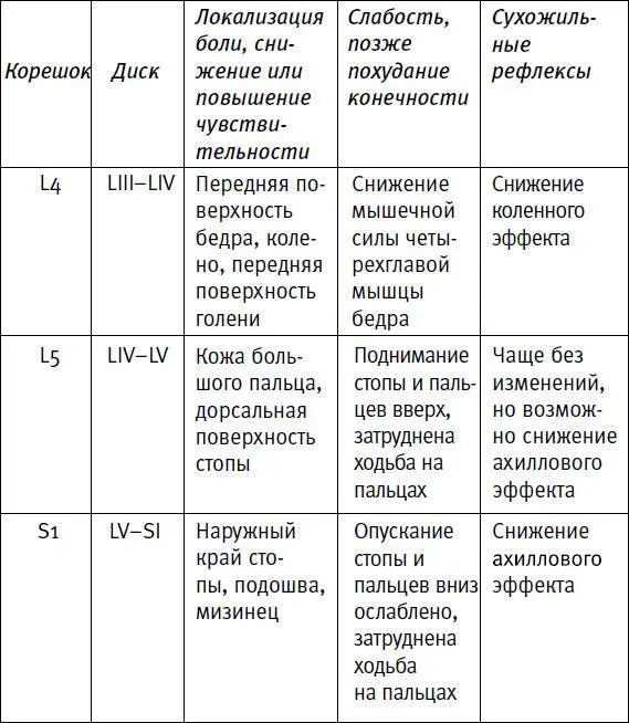 Широкое распространение как в нашей стране так и за рубежом получили - фото 25