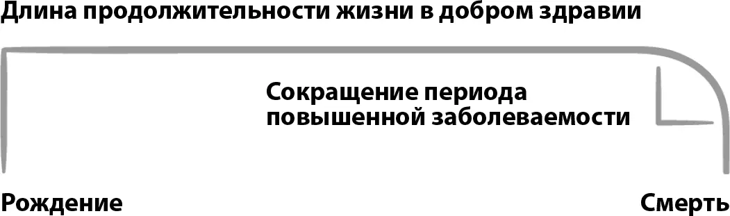 Одиннадцать предпосылок Эти одиннадцать составляющих помогут нам благополучно - фото 41