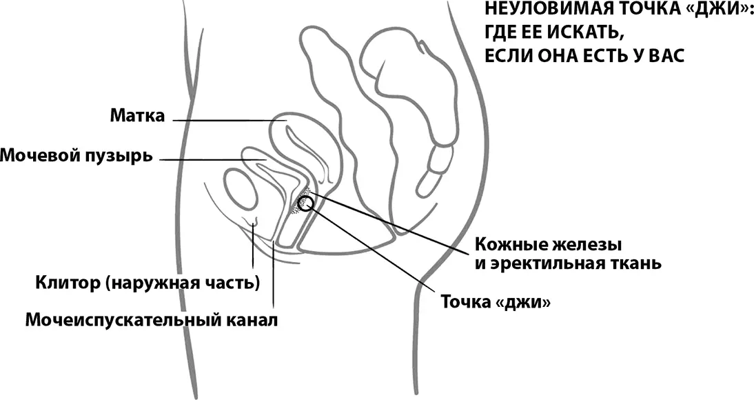 Попытайтесь вместе читать эротические книги или смотреть эротические - фото 77