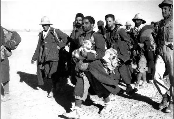 Итальянские военнопленные захваченные у СидиБарани Судя по выражению лиц - фото 23