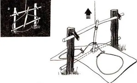 Эту ловушку лучше всего располагать в небольшом углублении на звериной тропе - фото 10