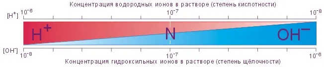 В норме концентрация ионов Н колеблется от 36 до 45 нмольл в среднем она - фото 11