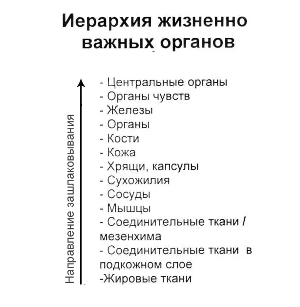 Лучше всего принимать минеральные вещества перед спортивными занятиями А после - фото 9