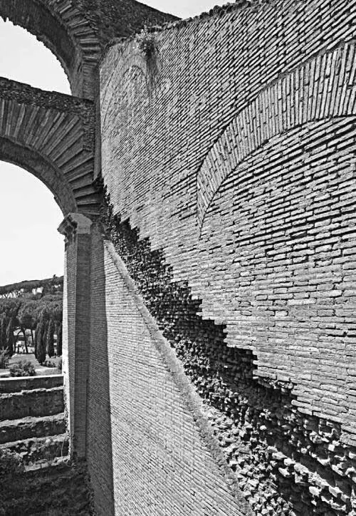 Рис 7 Кирпичная кладка Колизея Бутафория под древность На поверхности - фото 7