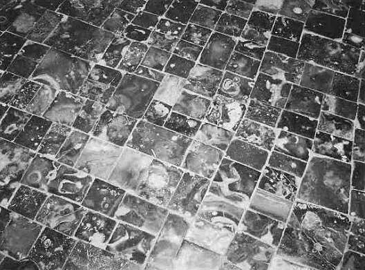 Рис 619 Яшмовый пол в Благовещенском соборе Фрагмент Фотография 2003 года - фото 252