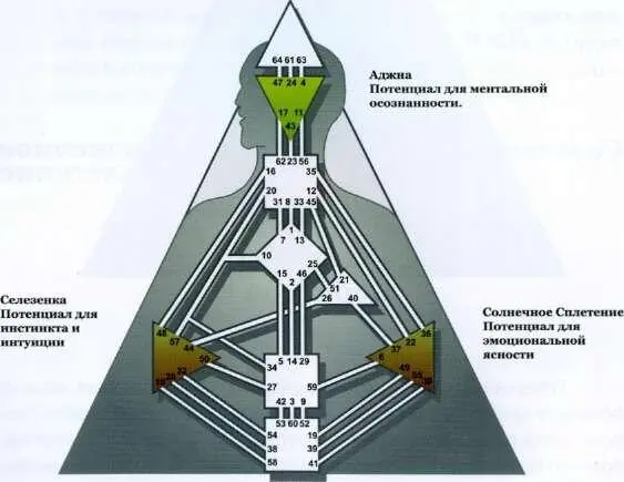 Начнём с трёх центров потенциальной осознанности Центра Селезёнки Аджны и - фото 26