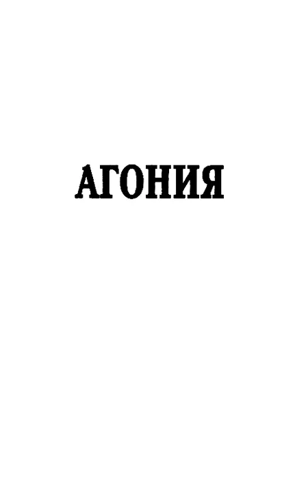 АГОНИЯ Глава первая Скованные одной цепью Начался сентябрь но солнце палило - фото 4