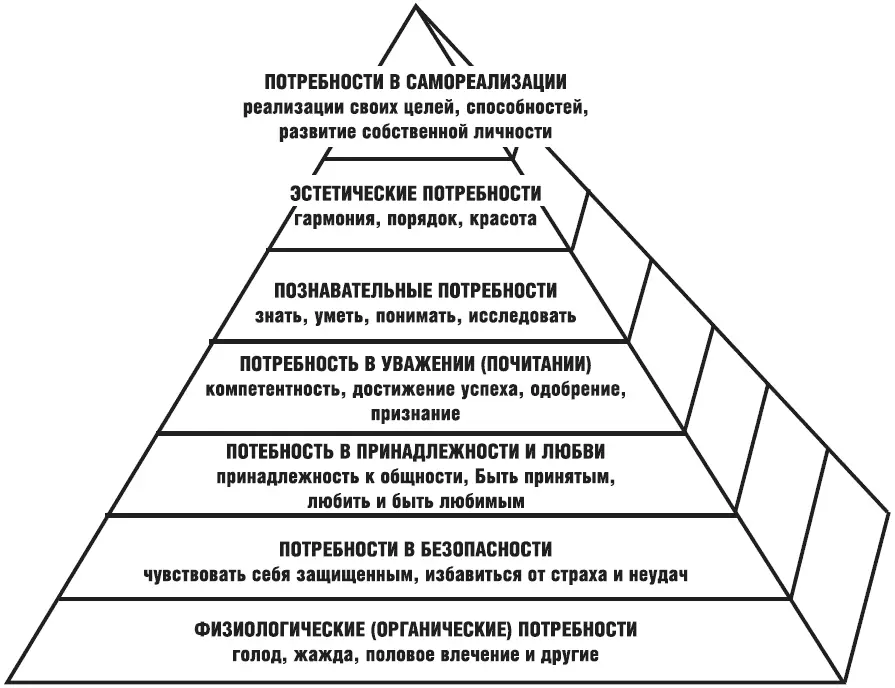 Но я считаю что Маслоу ошибся половой инстинкт он внес в основание пирамиды - фото 2