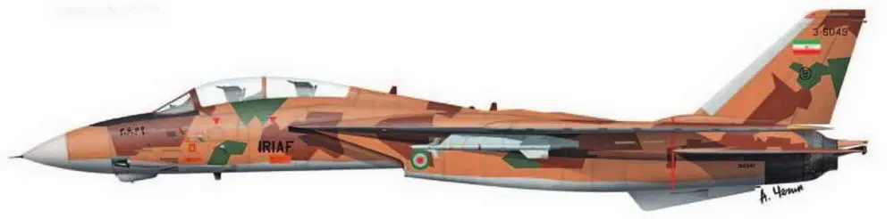 F14A ВВС Ирана Майор Джалил Занди считавшийся самым результативным - фото 84