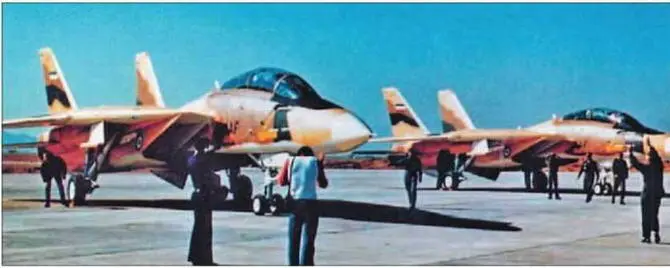 F14A ВВС Ирана периода ираноиракской войны В 1982 г согласно иранским - фото 87