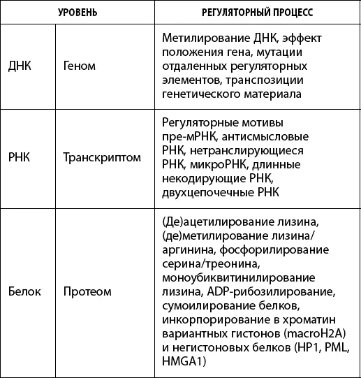 Регуляция связанных с ДНК белков гистонов претерпевает возрастзависимые - фото 20