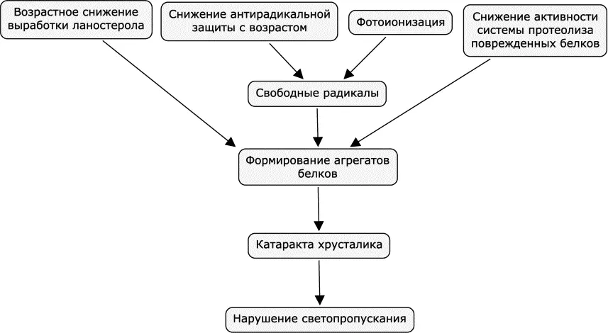 Рис 26 Основные причины развития катаракты Основным методом лечения - фото 58