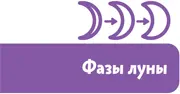 Верно Тогда мы говорим что наступило новолуние И часто это новолуние - фото 12