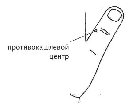 Рис 13 Противокашлевой центр При сухом кашле успокаивают кашлевой центр - фото 40