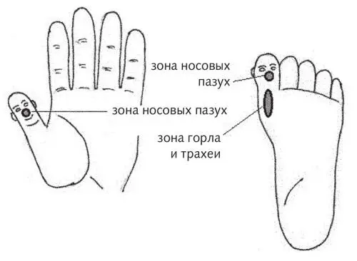 Рис 14 а б Зоны при боли в горле и насморке по основной системе Рис 14 - фото 41