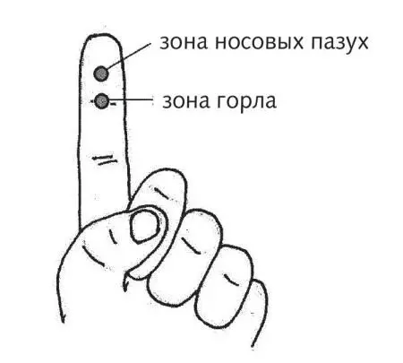 Рис 14 в Зоны при боли в горле и насморке по системе насекомого При боли в - фото 42