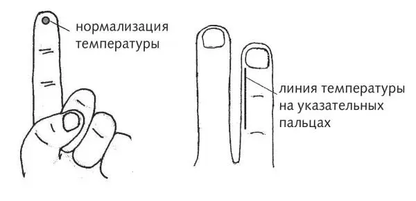 Рис 15 а б Зоны снижения температуры Повышение иммунитета при частых - фото 43