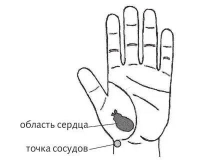 Рис 19 Зоны при вегетососудистой дистонии Термотерапию зоны проводят - фото 49