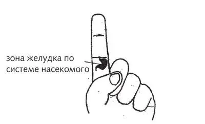 Рис 20 а б в Зоны воздействия при гастрите и панкреатите Симптомы слабости - фото 52
