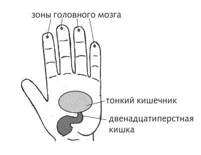 Рис 23 Зоны воздействия при поносе Успокаиваем зону двенадцатиперстной кишки - фото 58