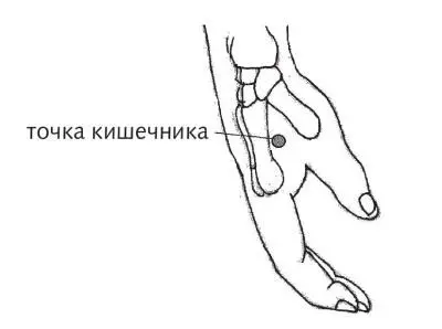 Рис 26 Главная точка кишечника Поэтому используется для лечения ротовой - фото 61