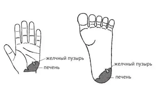Рис 27 а б Зоны воздействия на область печени Область подобия печени - фото 62