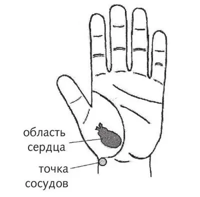 Рис 30 а Зона сердца и главная точка сосудов Рис 30 б Зона желудка и - фото 70