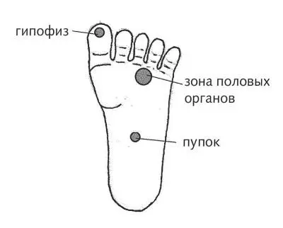 Рис 31 а Зоны половой сферы мужчин на подошве стопы Рис 31 б Зоны - фото 72