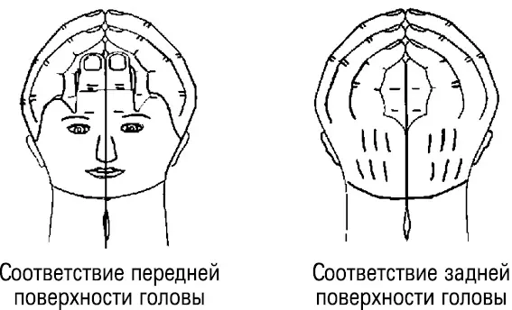 Но совсем не важно на какую точку воздействует врач важно какую систему - фото 16