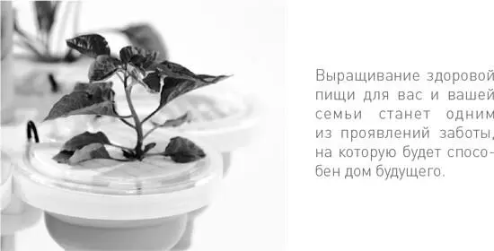 SproutsIO это модульная система горшков или кассет для рассады расставленных - фото 69