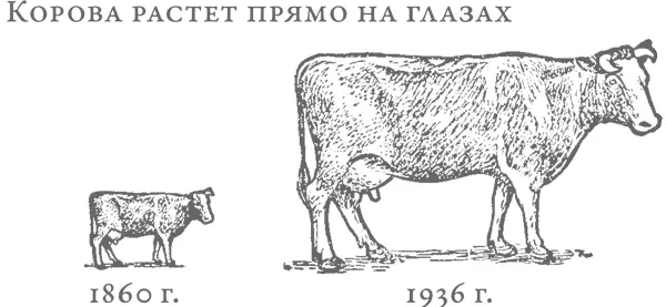 Попытки играть с размерами графических объектов чреваты и тем что могут - фото 47